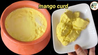 घर पर आम वाली दही या कर्ड कैसे बनाएं  mango curd recipe  How to make homemade curd dahihowtomake [upl. by Pandich456]