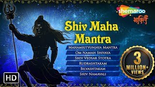 Top 10 Shiv Powerful Mantra  Mahamrityunjaya Mantra Om Namah Shivaya  Shiv Maha Mantra [upl. by Onivla]