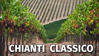 Great Italian Wines CHIANTI CLASSICO [upl. by Nnaaras17]