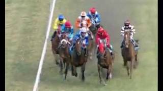 33rd Meeting 05 Nov 2011  Race 7 Winner DEMOCRATIC MAN iDatesmu [upl. by Aser]