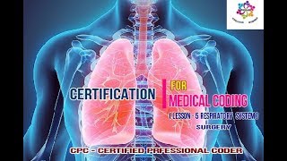 CPC Certification Respiratory system in Surgery  30000 Q amp A Latest  PPMP Creative System [upl. by Desdamonna831]