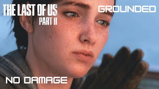 The Last of Us 2 Badass Agressive Gameplay  Ellie  Jackson GroundedNo Damage [upl. by Kaye]