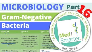 GramNegative Bacteria  Microbiology  USMLE STEP 1  Pt 16 [upl. by Roderic]