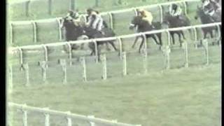 1981 Mackeson Gold Cup Handicap Chase [upl. by Eelarak]