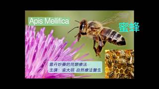 《靈丹妙藥的同類療法》 EP206  蜜蜂 Apis Mellifica [upl. by Netram]