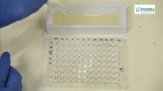 Mixing in 96 Well Microplates [upl. by Gussie]