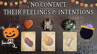 NO CONTACT  Their Feelings amp Intentions Towards You 🥴💗 Pick A Card Reading [upl. by Kallick353]