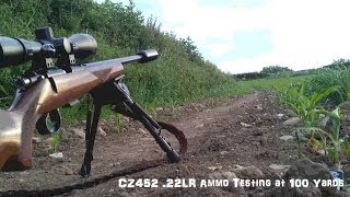 CZ452 22LR Ammo Testing At 100 Yards [upl. by Novonod]