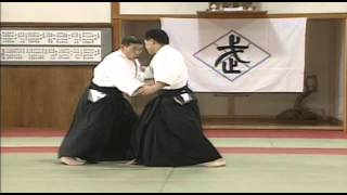 Daito Ryu Tehnike 1 [upl. by Milman]