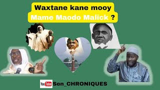 Kane mooy Mame Maodo Malick SY  WAXXTANE quotDécouvrez l’Histoire Fascinante de Mame Maodo Malick SYquot [upl. by Assirrac279]