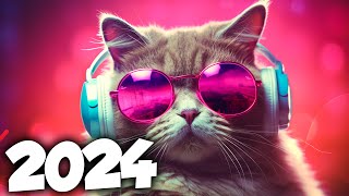 MÚSICA ELETRÔNICA 2024 🔥 AS MÚSICAS ELETRÔNICAS MAIS TOCADAS 🔥 Alok Vintage Culture amp David Guetta [upl. by Carrelli351]