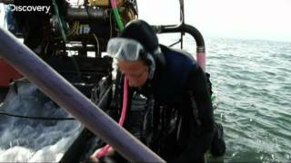 Gold Divers  Emily Dredge Accident [upl. by Henni632]