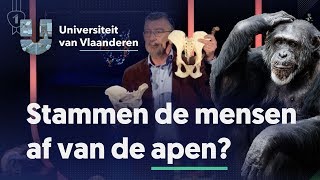 Stammen de mensen af van de apen [upl. by Notpmah226]