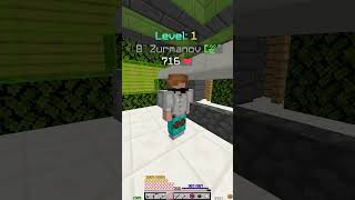 Im an expert at lowballing in Hypixel Skyblock hypixel hypixelskyblock minecraft [upl. by Hiro]