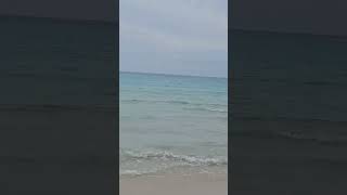 Sa Coma  Majorca majorca holidays beach beachlife reels asmr viral subscribe [upl. by Otanod154]