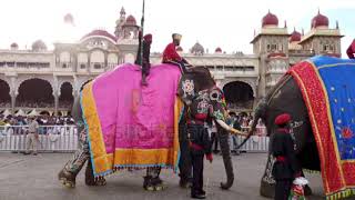 mysore dasara festival indiajambusavari Mysore the beautiful city of Karnataka 😍 [upl. by Airdnax]