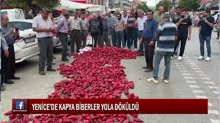 YENİCE’DE KAPYA BİBERLER YOLA DÖKÜLDÜ [upl. by Ballard920]