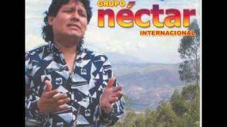 cerveza ron y nectar  GRUPO NECTAR [upl. by Idnas]