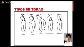 TIPOS DE TÓRAX [upl. by Cad]