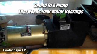 Hayward Super Pump Motor Bearing Change  PoolandspaTV Swimming Pool And Spa Pump Repair Series [upl. by Hawker]