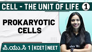 Prokaryotes vs Eukaryotes  Origin of Cell  Cell Biology  CSIR NET amp GATE  L2 [upl. by Alliuqahs]