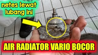 Penyebab dan cara mengatasi air radiator Vario 125150 bocor air radiator vario netes [upl. by Halvaard]