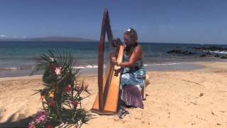 Ave Maria Celtic Harp [upl. by Sutelc]