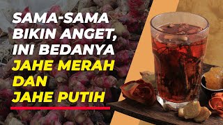 Jahe Merah amp Jahe Putih Ternyata Punya Manfaat MasingMasing Lho [upl. by Silvester]