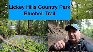 Lickey Hills country park bluebell trail walk [upl. by Llecrad949]