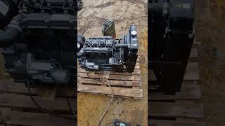 ListerPetter LPW4 Diesel Generator Engine starting up and running [upl. by Grantley677]