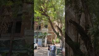 Mumbai old city mumbai central shortvideo [upl. by Devy]