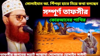 সম্পূর্ণ তাফসীর কোরআনের পাখির  allama delwar hussain saidi waz  delwar hossain sayeedi waz [upl. by Stralka]