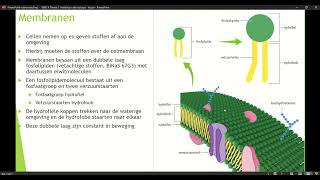 Klas 4 VWO Thema 1 Inleiding in de biologie basisstof 4 organellen deel 4 [upl. by Hanonew]