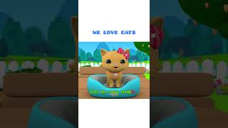 We Love Cats  Omar amp Hana English [upl. by Julienne]