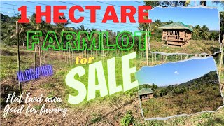 vlog168 1 HECTARE FARM LOT FOR SALE propertyforsalephilippines farmlotforsale property [upl. by Yelloh]