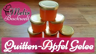 QuittenApfel Gelee mit dem Dampfentsafter ganz einfach selber machen 2021  Melis Backwelt [upl. by Akers]