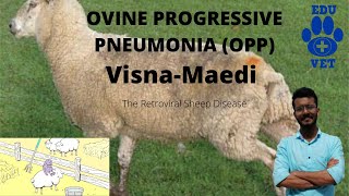 Ovine Progressive PneumoniaVISNAMAEDI [upl. by Auvil]