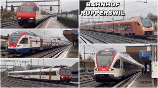 Züge beim Bahnhof Rupperswil  Trains at Rupperswil station 2023 [upl. by Corabel663]