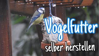 Vogelfutter selber herstellenKleiner Bunter Garten [upl. by Lokim]