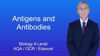 A Level Biology Revision quotAntigens and Antibodiesquot [upl. by Lorollas]