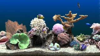 Marine Aquarium Virtual Fishtank [upl. by Eupheemia758]