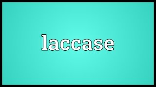 Laccase Meaning [upl. by Seppala]