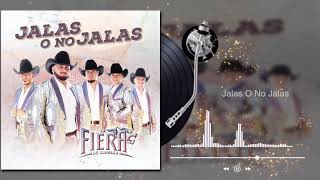 La Fiera De Ojinaga  Jalas O No Jalas  Jalas O No Jalas Audio [upl. by Yelahc]