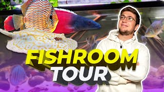 TOUR de mes AQUARIUMS on nourrit les POISSONS [upl. by Enomsed24]