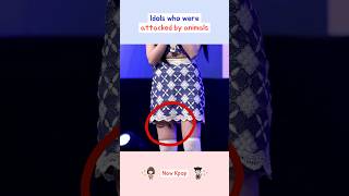 Idols who were attacked by animals kpop shorts [upl. by Teriann]