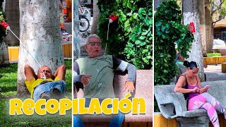 RECOPILACIÓN LOS PÁJAROS CAGONES 🦜💩🤣 [upl. by Rainwater1]