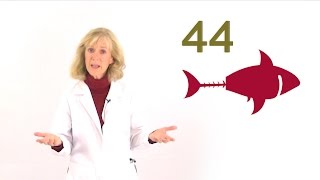 How Fish Oil amp Omega3s Can Help Reduce Headaches  Dr Andrew Huberman [upl. by Idonah293]