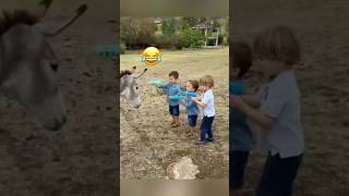 Baby Reactions to Animal Surprises 😂🐶🐱MyPetsie amp adamelea1 [upl. by Zeiler84]