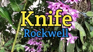 Knife  Rockwell Lyrics Video [upl. by Anzovin]