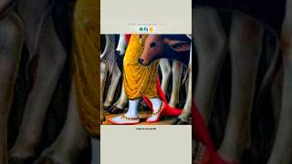 श्री कृष्णा चरण सब दुख हरण 🦚👣💫  O Saiyyan  WhatsApp status  kanha krishna radheshyam [upl. by Joanna]